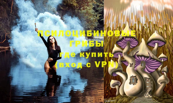 гашиш Абаза