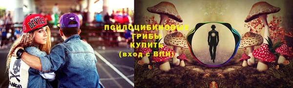молекула духа Сафоново